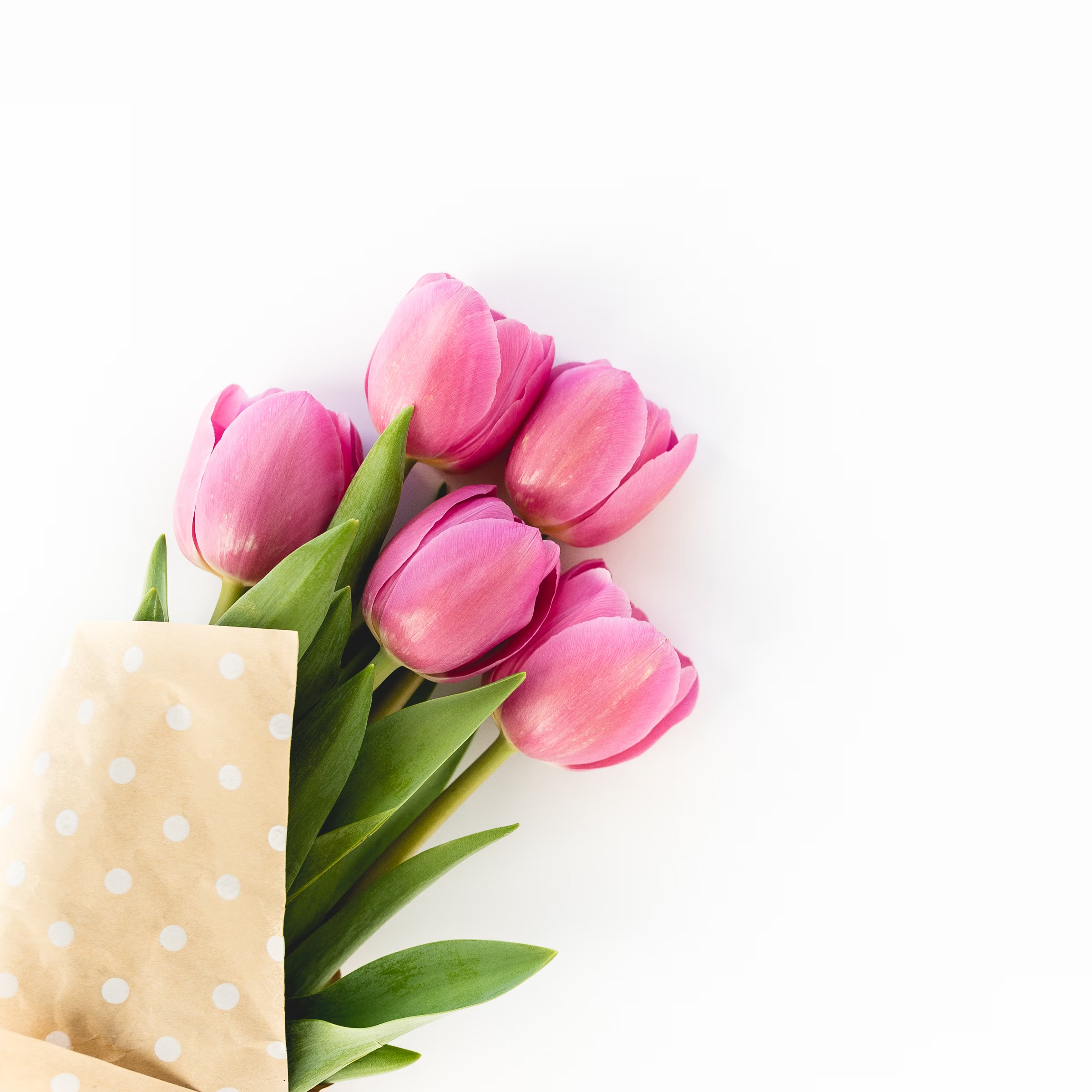 A floral bouquet